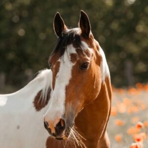 Profile photo of Eryn
